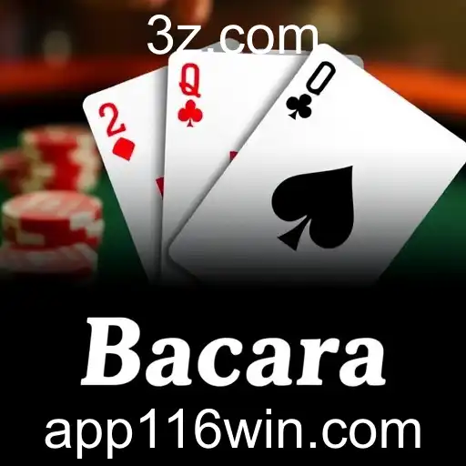 Security and Trust 116win APP - International Licenses and Certifications